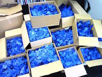 Bluecrow①