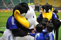 ﾏｽｺｯﾄJFA10036_018